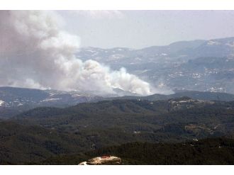 Ölü sayısı 131’e yükseldi