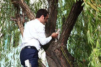 TİMUR ACAR’DAN KEDİ OPERASYONU