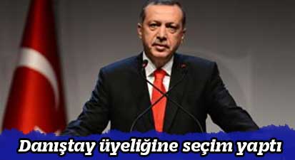 Danıştay üyeliğine seçim yaptı
