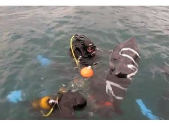 Haliç Köprüsünden ölüme atladı