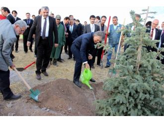 11.Cumhurbaşkanı Gül Hatıra Ormanı’na ağaç dikti