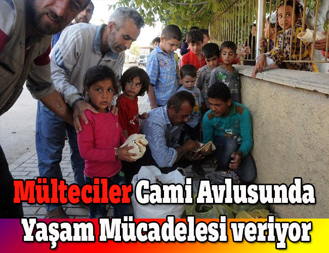 Mültecilerin Cami Avlusunda Yaşam Mücadelesi