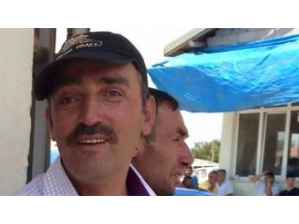 Arının soktuğu kişi öldü