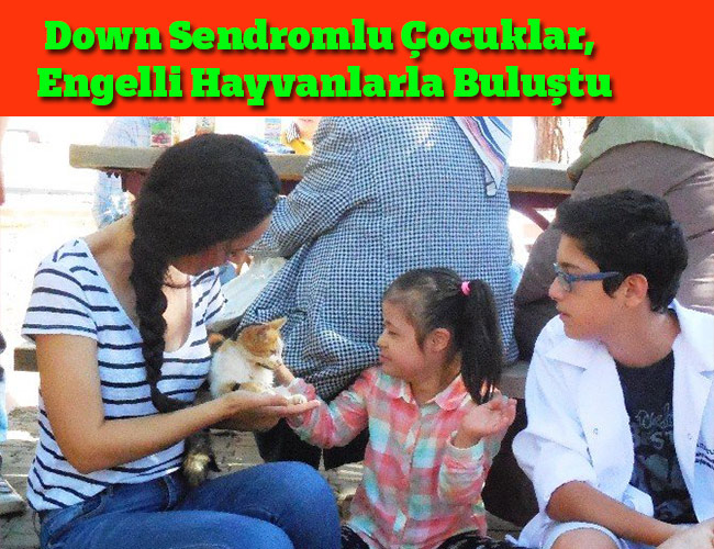 Down Sendromlu Çocuklar, Engelli Hayvanlarla Buluştu