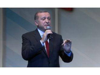 "Terör örgütleri akrep gibidir"