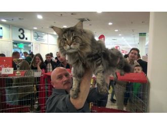 1 milyon TL önerdiler yine de satmadı