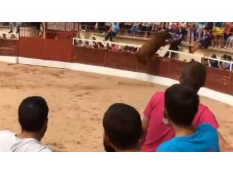 Boğa tribüne atladı