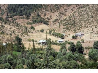 Adana’da başsız ceset bulundu