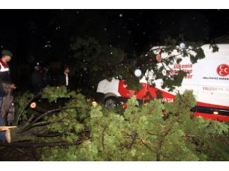 Ağaç vekil adaylarını taşıyan minibüsün üstüne devrildi