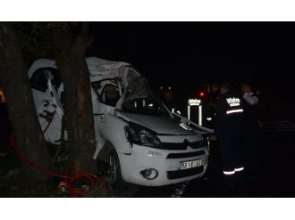 Ağaca çarpan araçtaki 2 kişi öldü