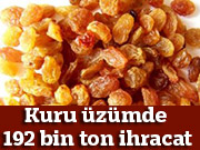 Kuru üzümde hedef 192 bin ton ihracat