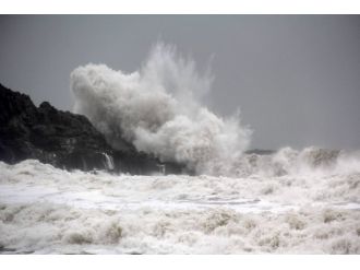Bilim adamlarından Türkiye’ye uyarı