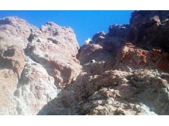 Kurt korkusu yüzlerce koyunu telef etti