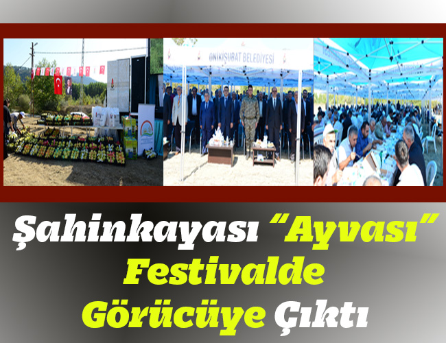 Şahinkayası “Ayvası” Festivalde Görücüye Çıktı