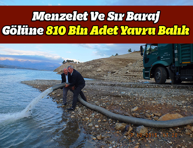 Menzelet Ve Sır Baraj Gölüne 810 Bin Adet Yavru Balık