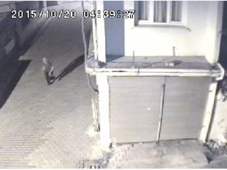 Hırsızın evden kaçarken görüntüsü kamerada !