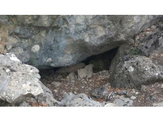 PKK sığınakları imha ediliyor