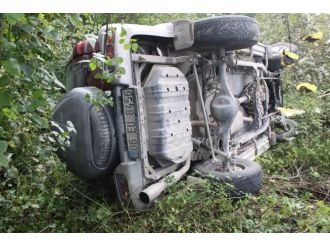 Arabaya giren arıyı kovmak isterken uçuruma yuvarlandı