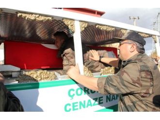 "Peygamberin kucakladığı bir aslan o"