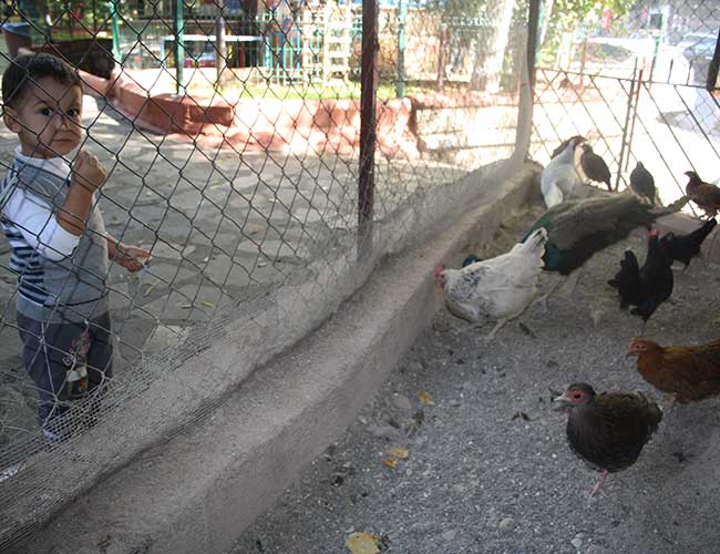 Şelale Park’tan Belediye’ye Çağrı