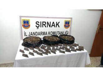 Şırnak’ta 11 bin 500 fişek ele geçirildi