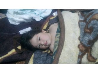 Ege’de can pazarı... Yine bebekler öldü