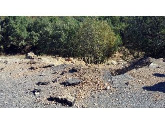 Teröristler tuzakladı, asker imha etti