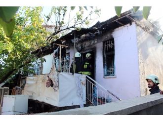 Yatalak kadının korkunç ölümü