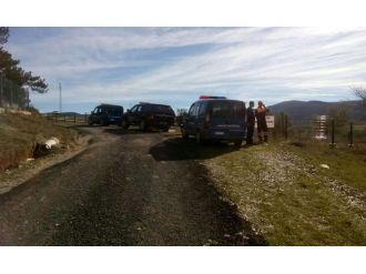 Mantar toplamaya çıkmışlardı ama...