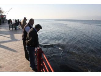Balıkçılar bununla ilk kez karşılaştı
