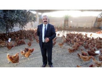 Tavukçudan Muharrem İnce’ye ’ortaklık’ teklifi