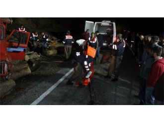 Tonlarca tomruğun altında ezilerek can verdiler!