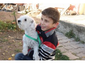 Cumhurbaşkanı, Ömer Faruk’u aradı