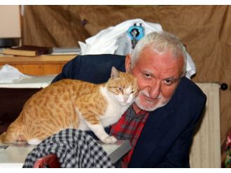 Bu da kedilerin dedesi