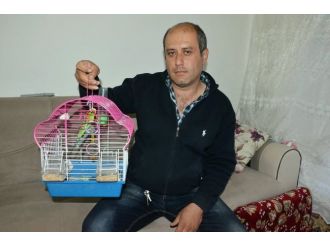 Erdoğan hayranı kuş