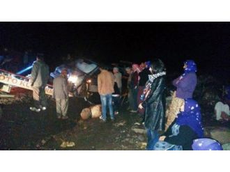 Sürüye daldı: 25 koyun telef oldu