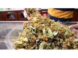 Fiyatı çeyrek altını geçti