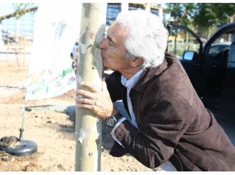 Ünlü orkestra şefi ağacı öperek dikti