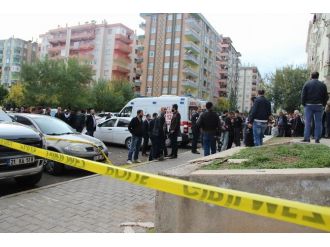 Bunun adı vahşet !