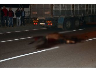 Kamyoneti çarptığı at telef oldu