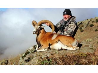 Bir koyun avlamak için 90 bin lira ödedi