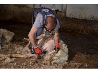 Bu eğitim Türkiye’de ilk kez verilecek