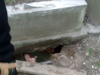 Altın diş çalmak için girdiği mezarda mahsur kaldı