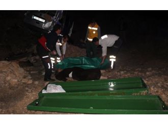 Hastaneden dönüyorlardı: 3 ölü, 2 yaralı