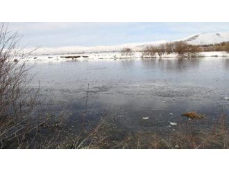 Nehir buzla kaplandı