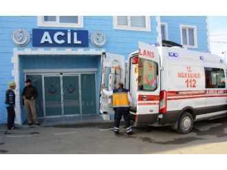 Ölü arkadaşlarıyla koyda mahsur kaldılar