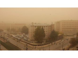 Tüm şehir sarıya boyandı