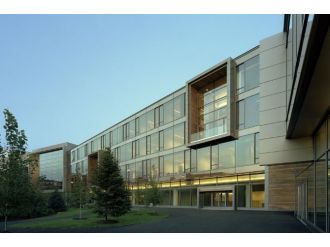 Harvard Üniversitesinde bomba paniği