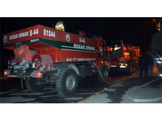 Osmaniye’de orman yangını!