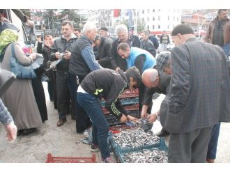 2 ton hamsi dua karşılığında dağıtıldı